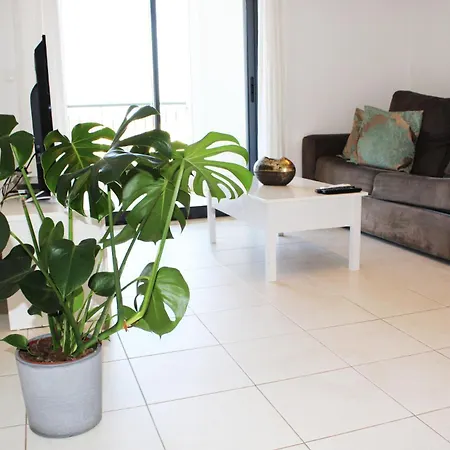 Апартаменты With Terrace Olhos De Agua