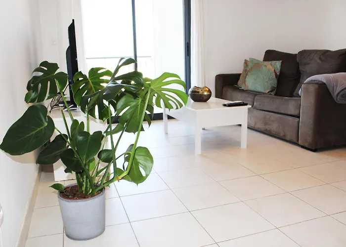 Apartment With Terrace Olhos De Agua